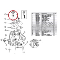 EESILK 2.0/+ -POST-CLAMP SCREW-FRONT THUMB WHEEL M6 4MM-TI (AAE0096TI)